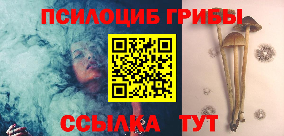 Красногорск  Галлюциногенные грибы прущие грибы  Вход с VPN 